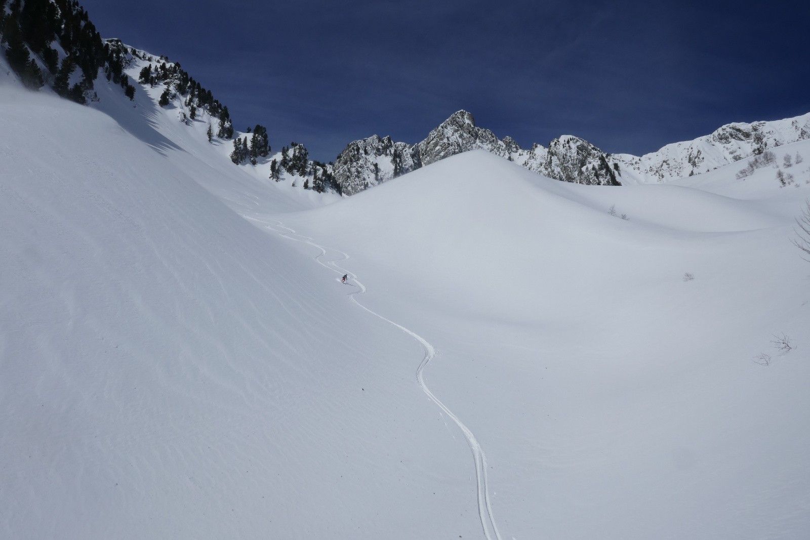 Pas une trace (à part nous) 