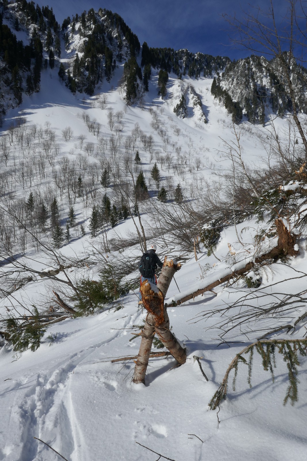 Le désastre désormais connu 