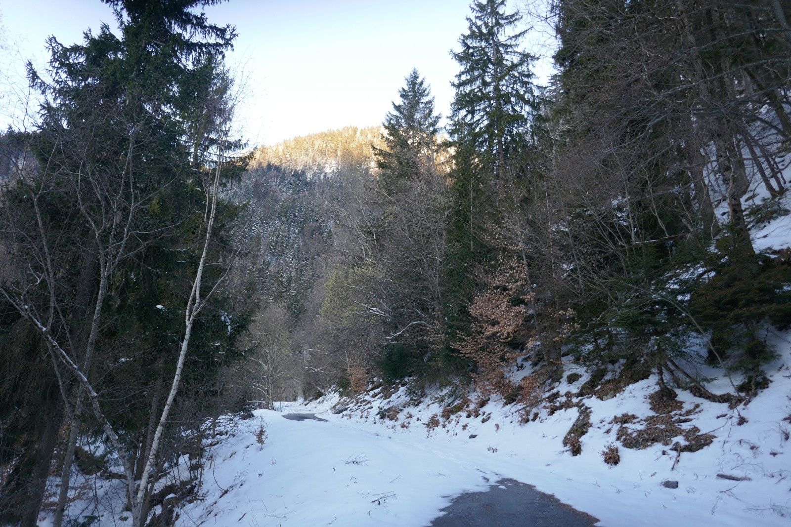 Enneigement à 1160m 