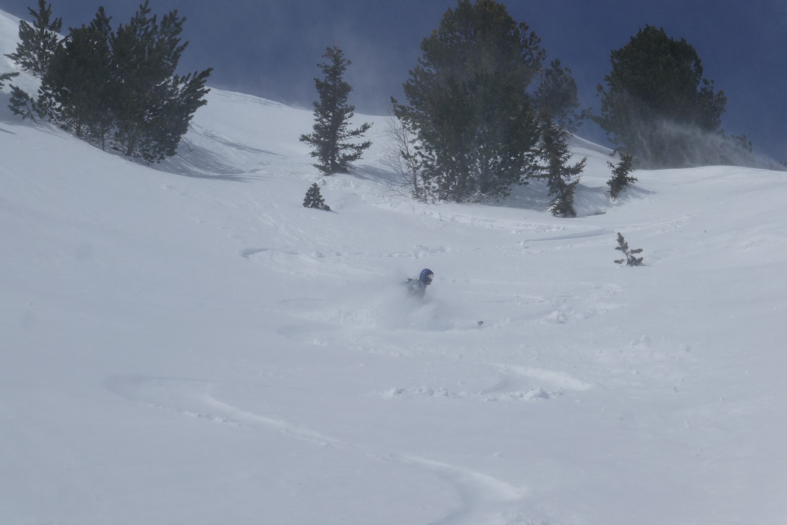 Très bon même&nbsp; 