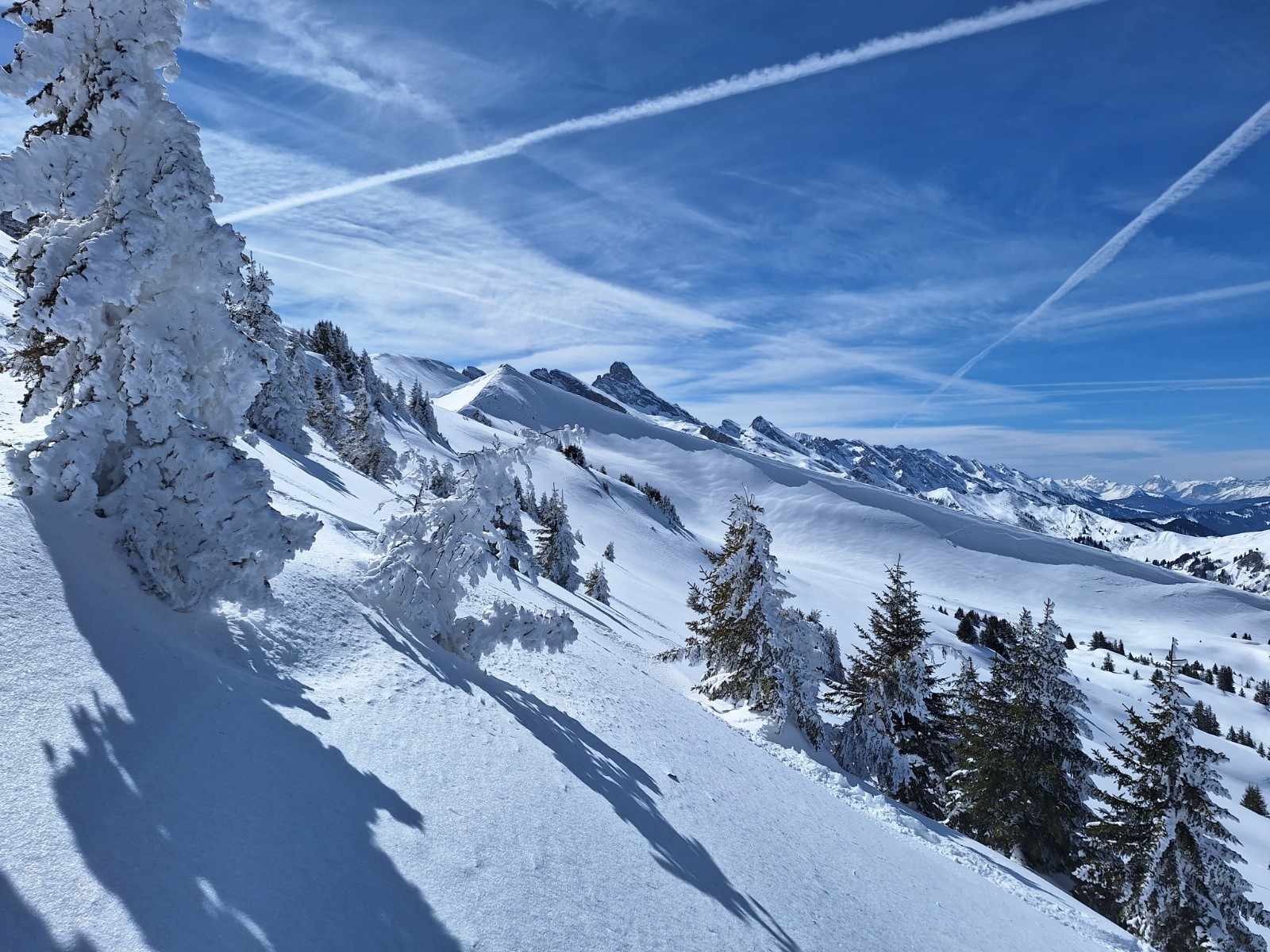 Paysage hivernal avec ces sapins plâtrés!