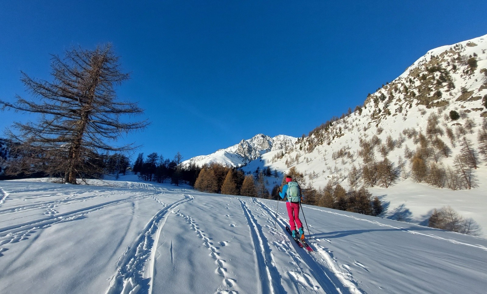 &nbsp;Belles lumières
