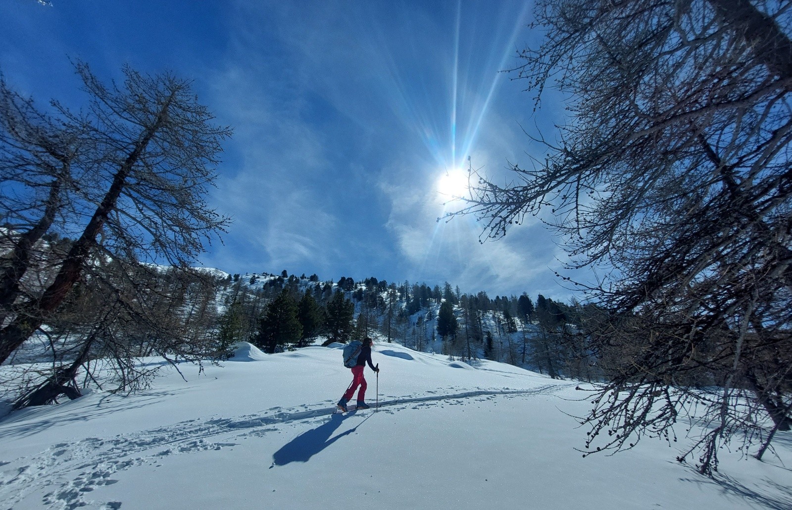 Montée vers l'Echaillon&nbsp;