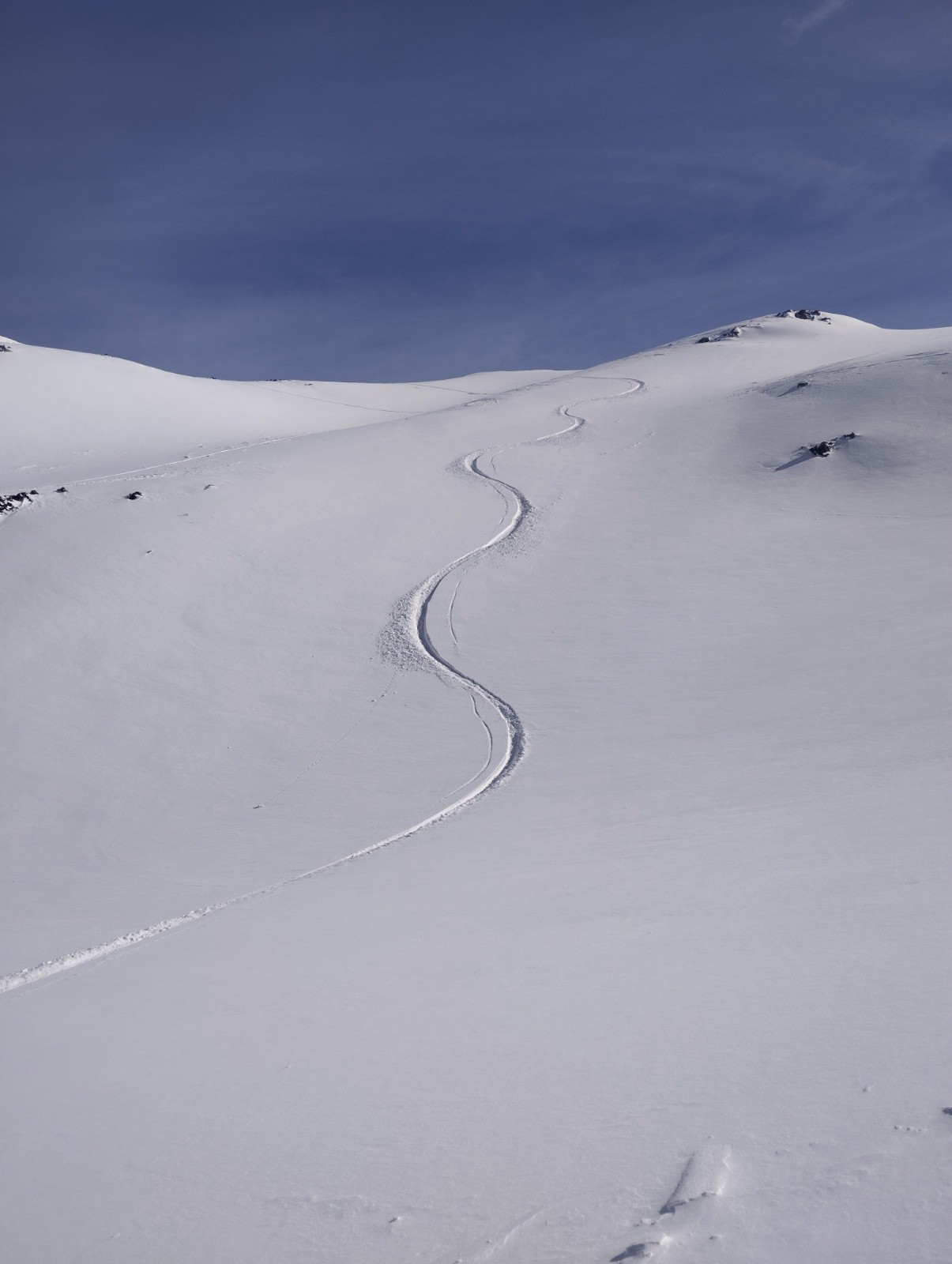 Pas notre trace malheureusement mais elle était magnifique&nbsp;