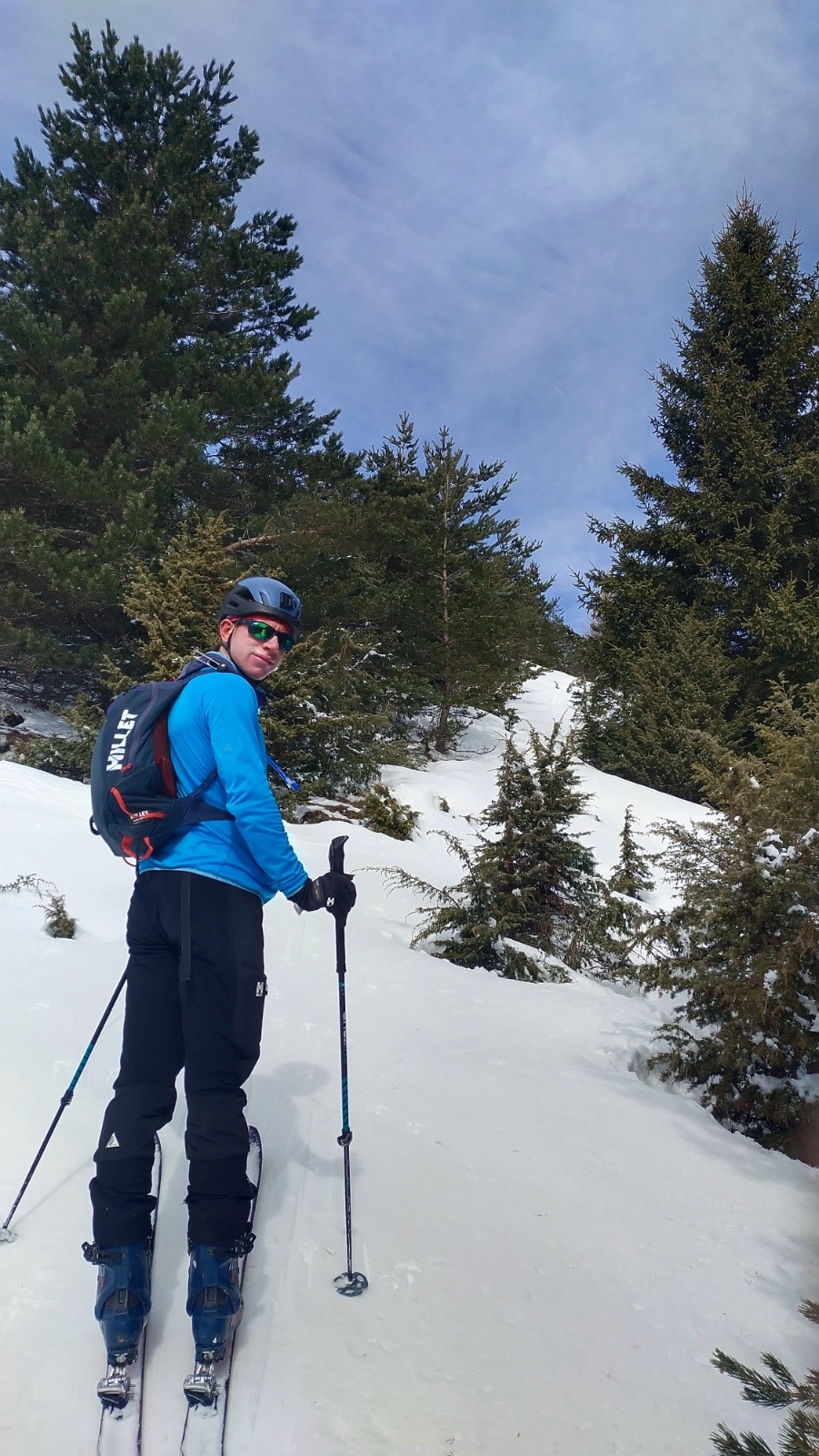 &nbsp;Dans les sapins