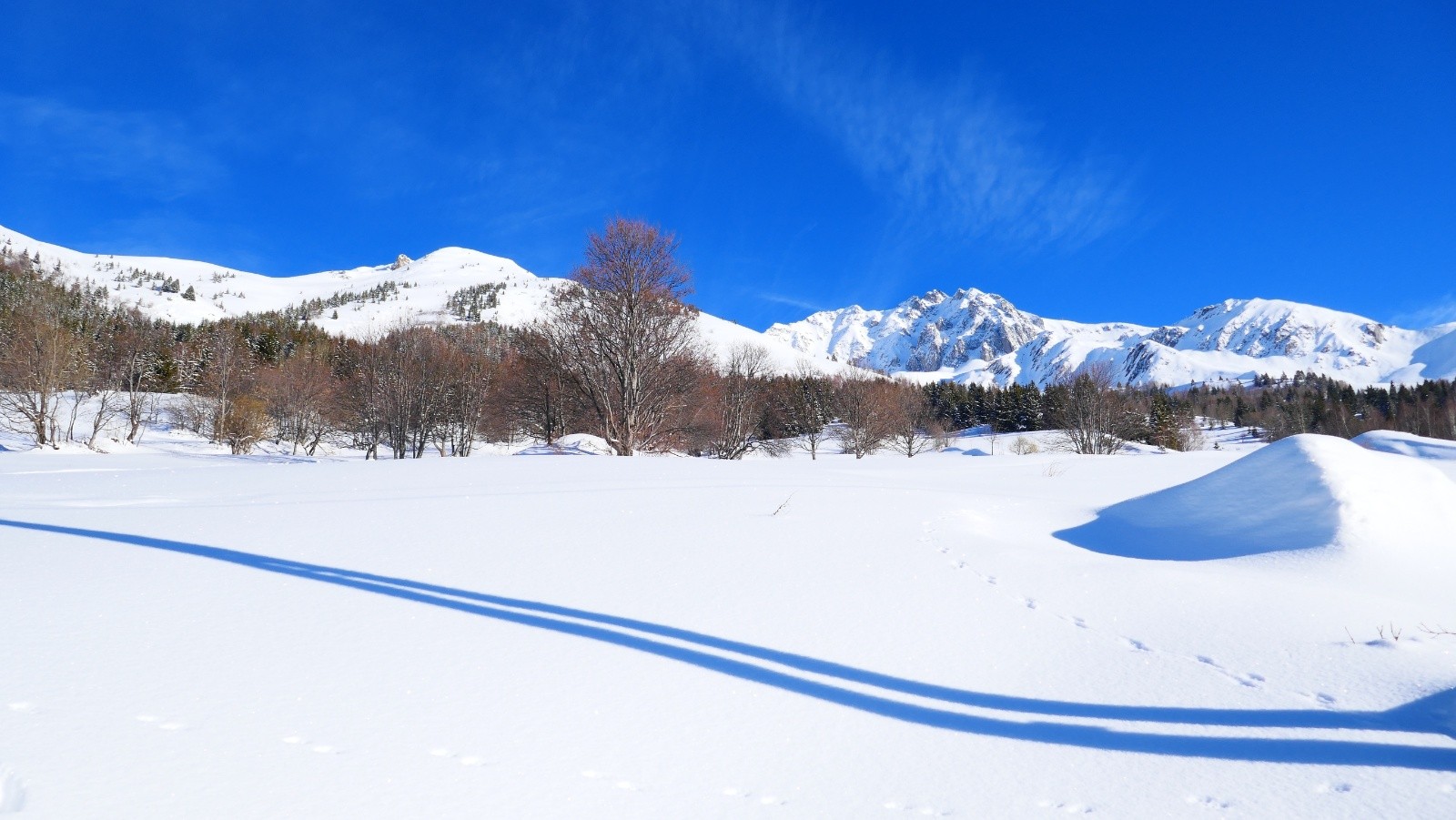 &nbsp;Le but de la bambée.