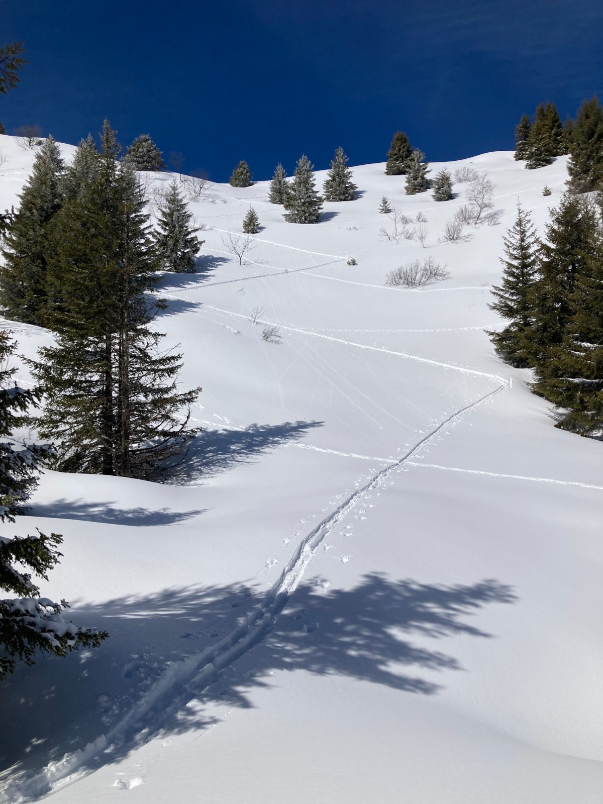 Merci pour la trace !