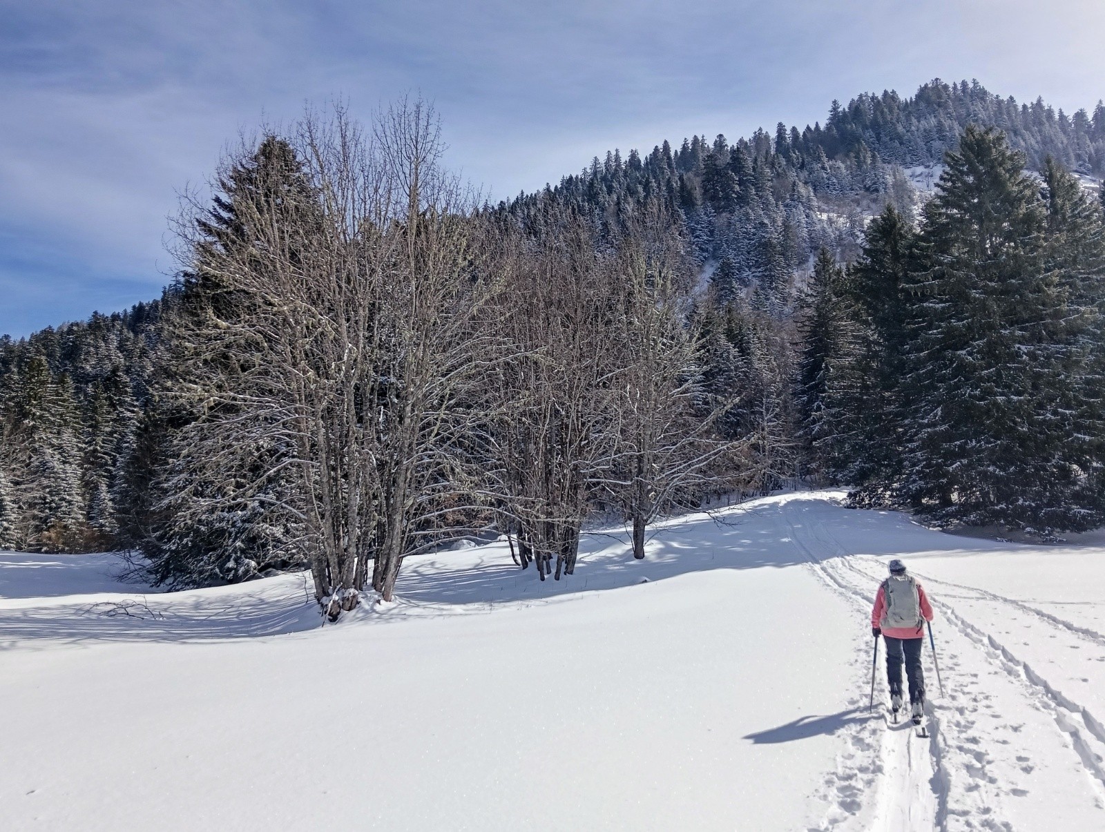 Pas tant de trace ce matin&nbsp;