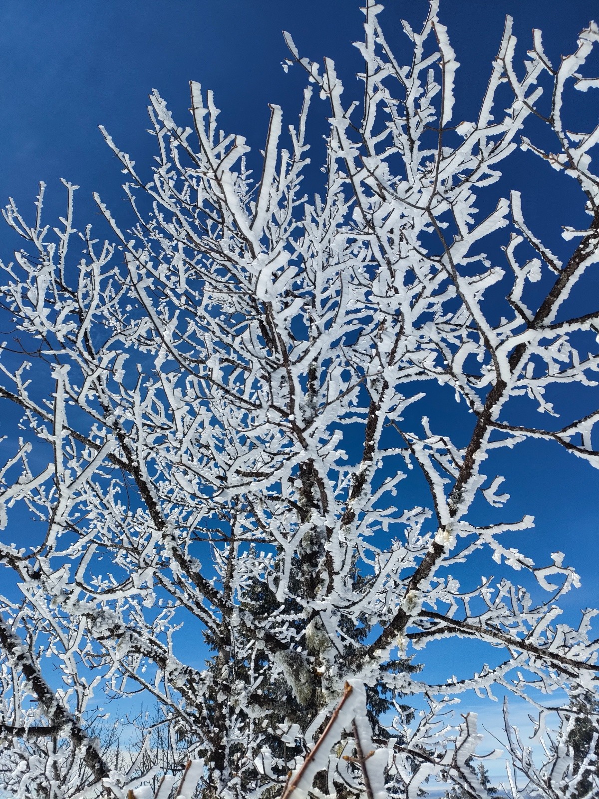 Un vrai Sysley&nbsp;&nbsp;