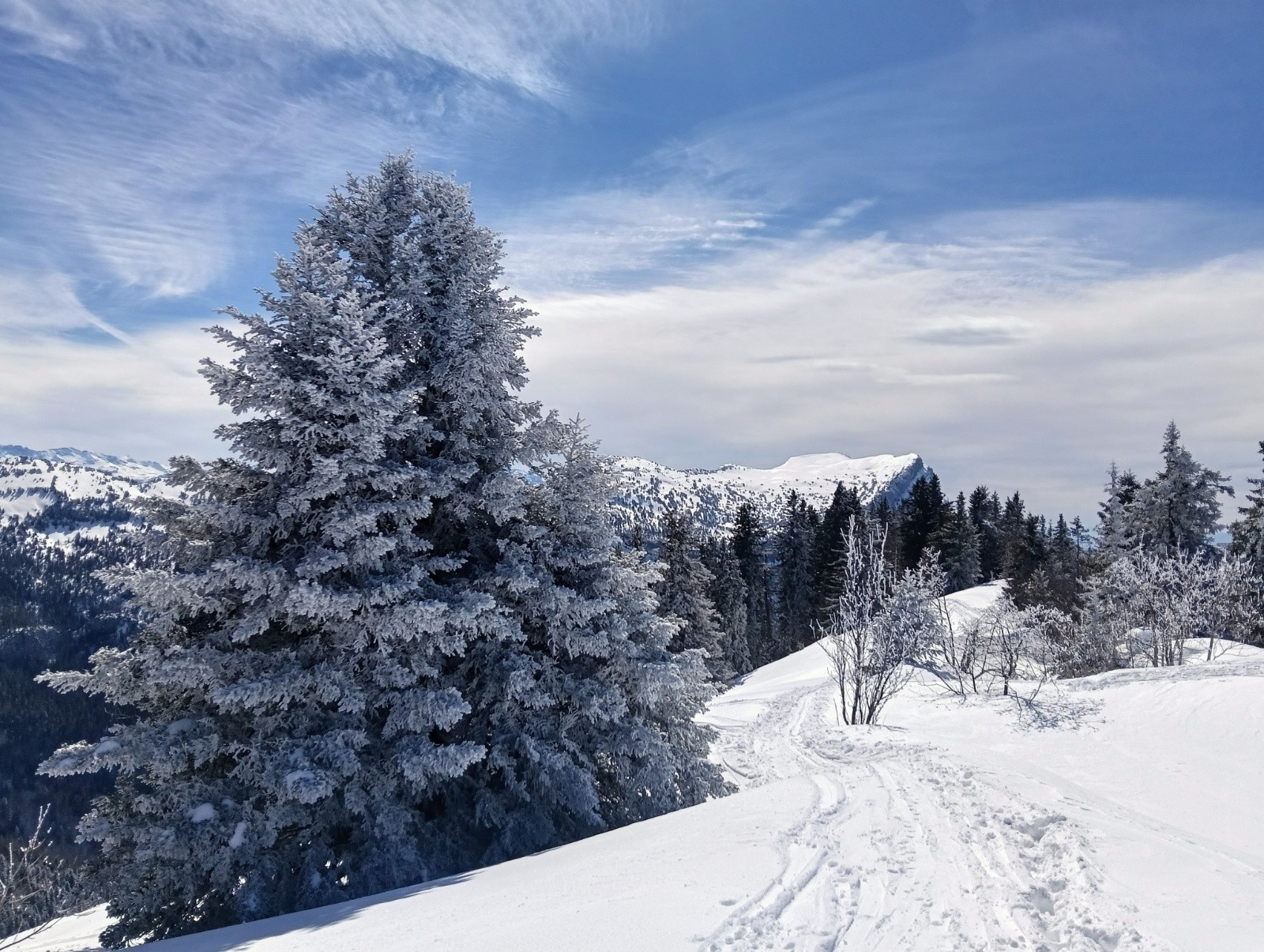 Vers la Dent de Crolles&nbsp;