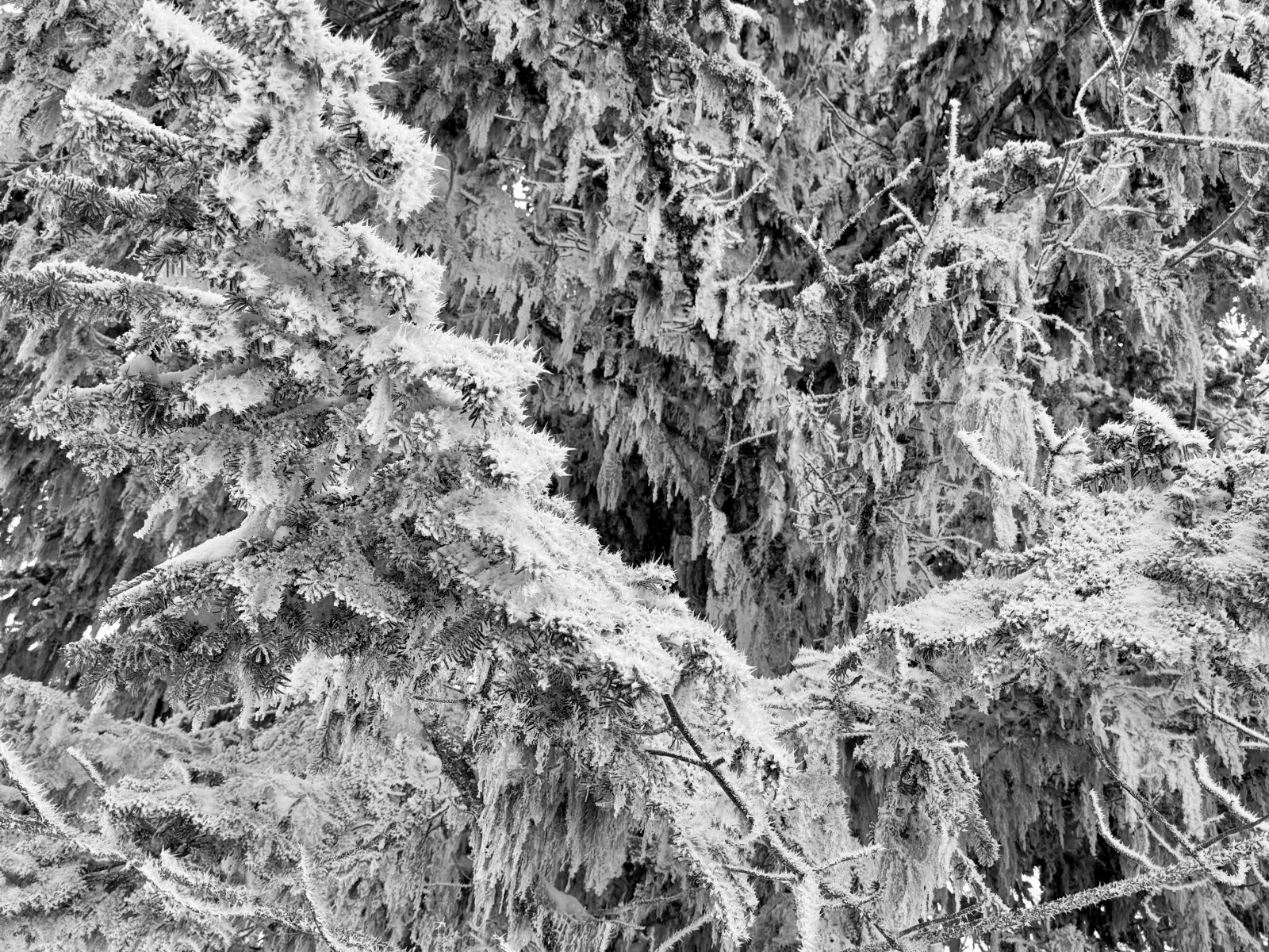 #1 Ambiance du jour. Ambiance du jour.