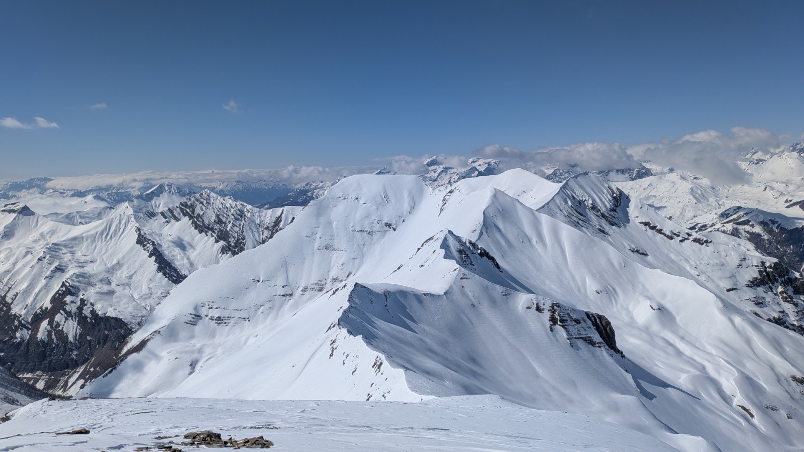 #7 Diablée Diablée