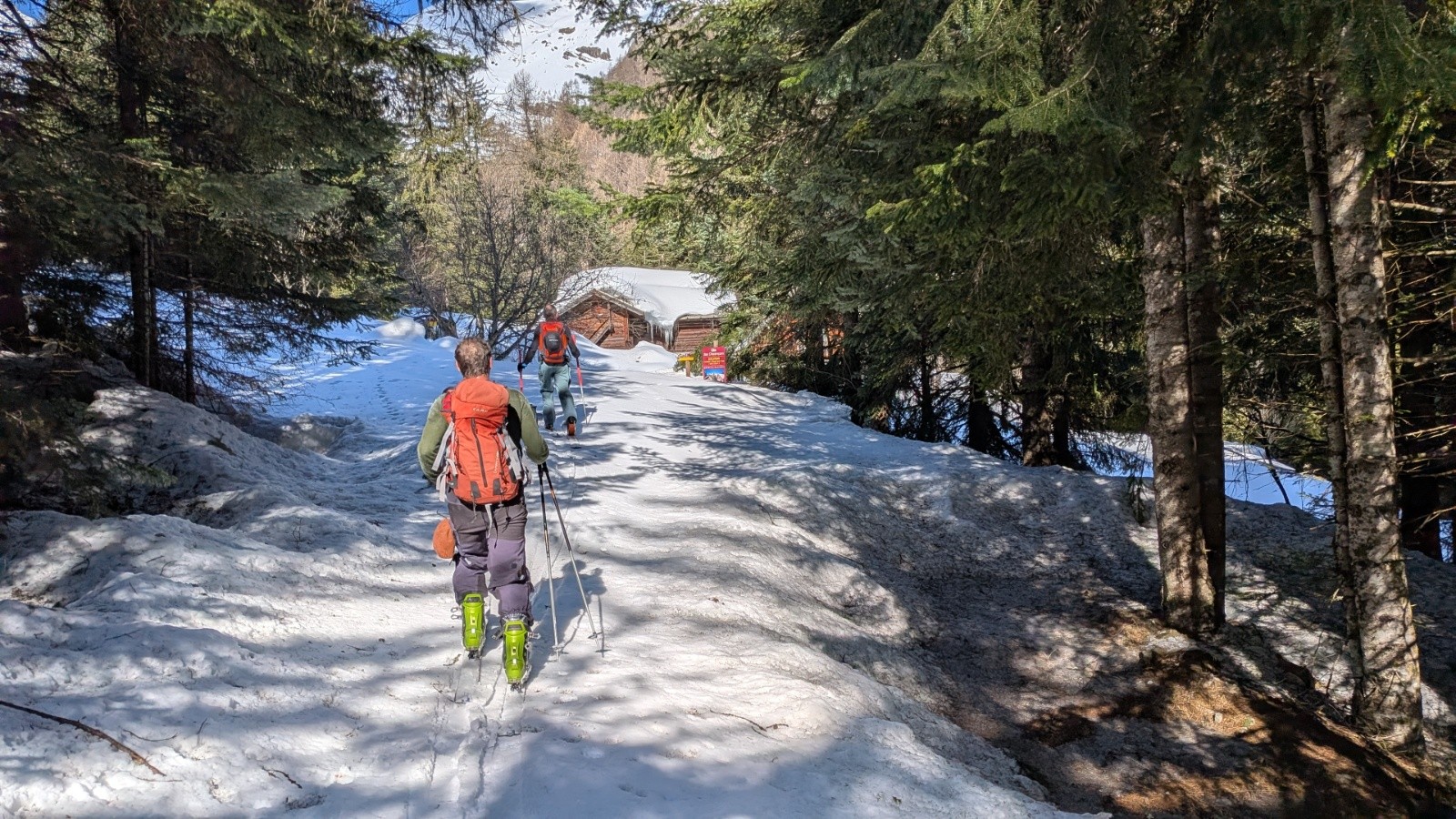 #1 Charançons Charançons