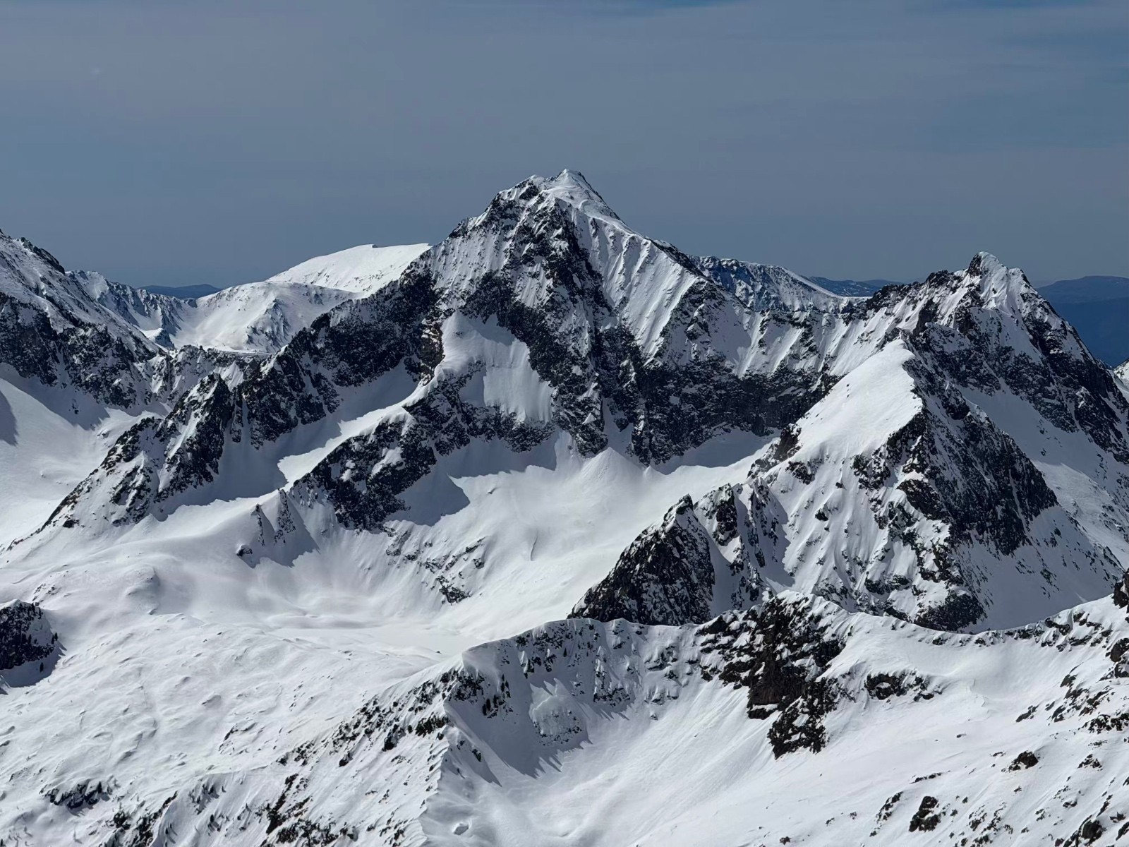 &nbsp;Testa di Claus et son 5.4 E4