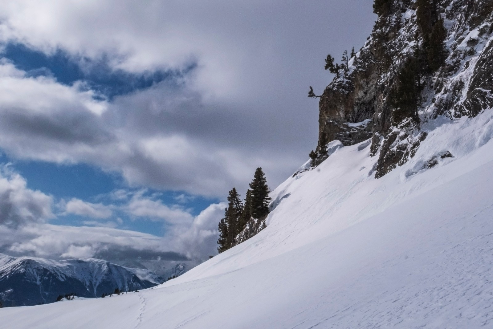 #3 Arbres accrochés aux rochers, typique du secteur Arbres accrochés aux rochers, typique du secteur