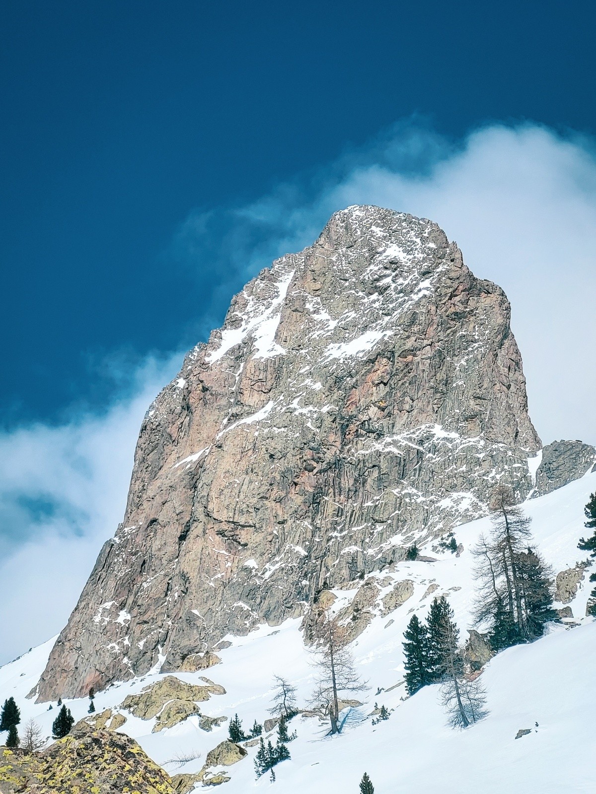 &nbsp;La Cougourde, maîtresse des lieux