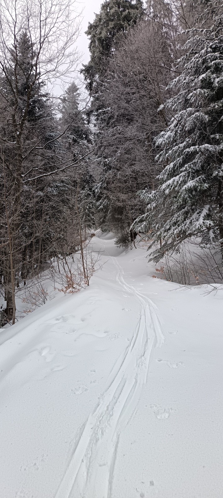 &nbsp;Border Ok, un seul bipède me précédant, d'autres suivront&nbsp;