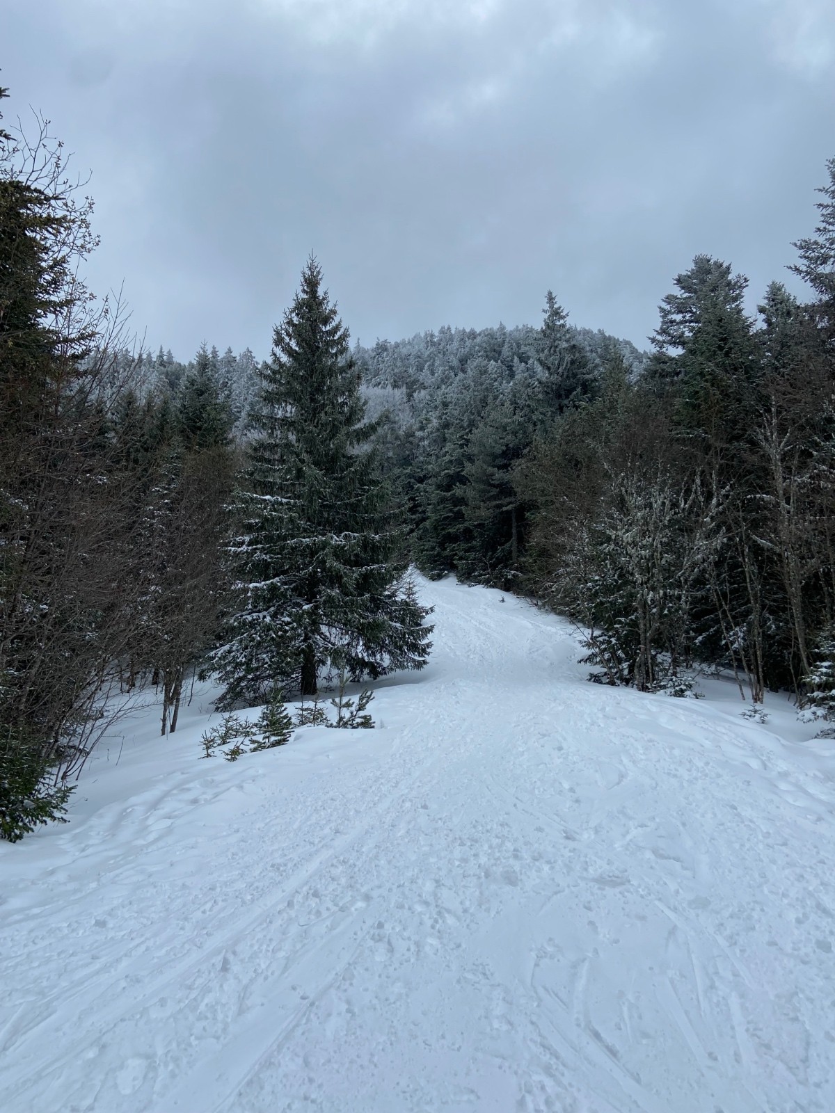 &nbsp;Roc de Bataillon 1440m, les arbres commencent à être givrés