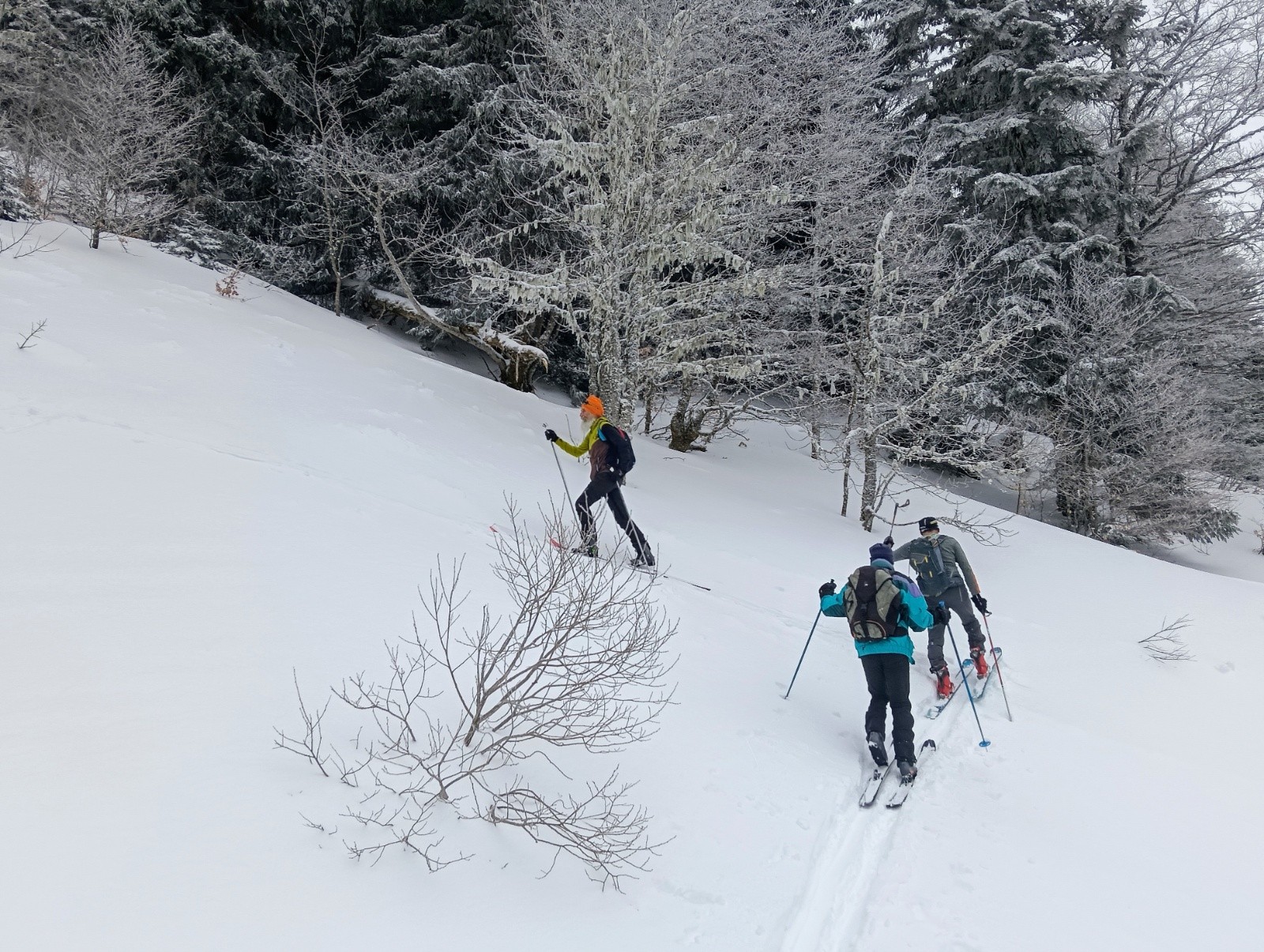 Et il sont gentils, il nous attendent !&nbsp;