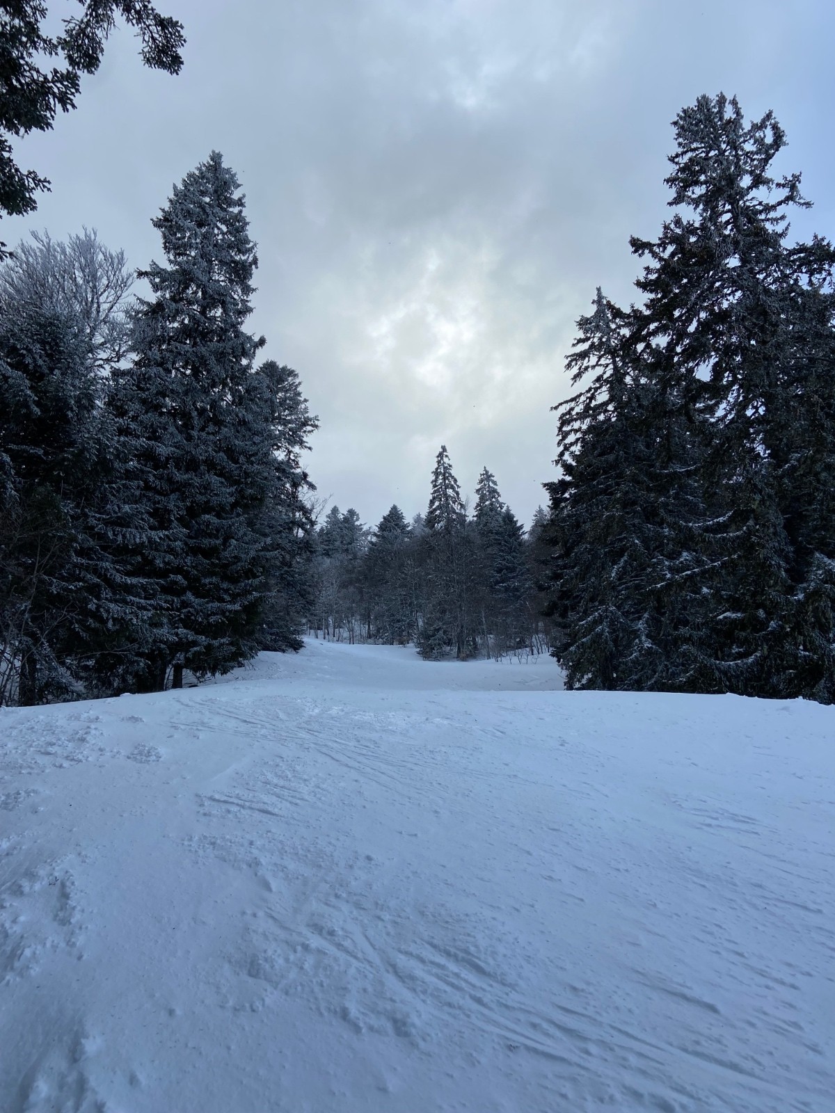 &nbsp;La piste qui traverse la route