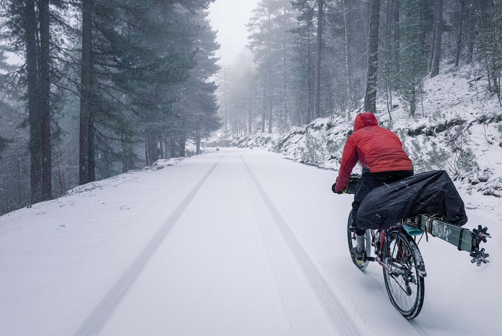 &nbsp;Photo : Antho.