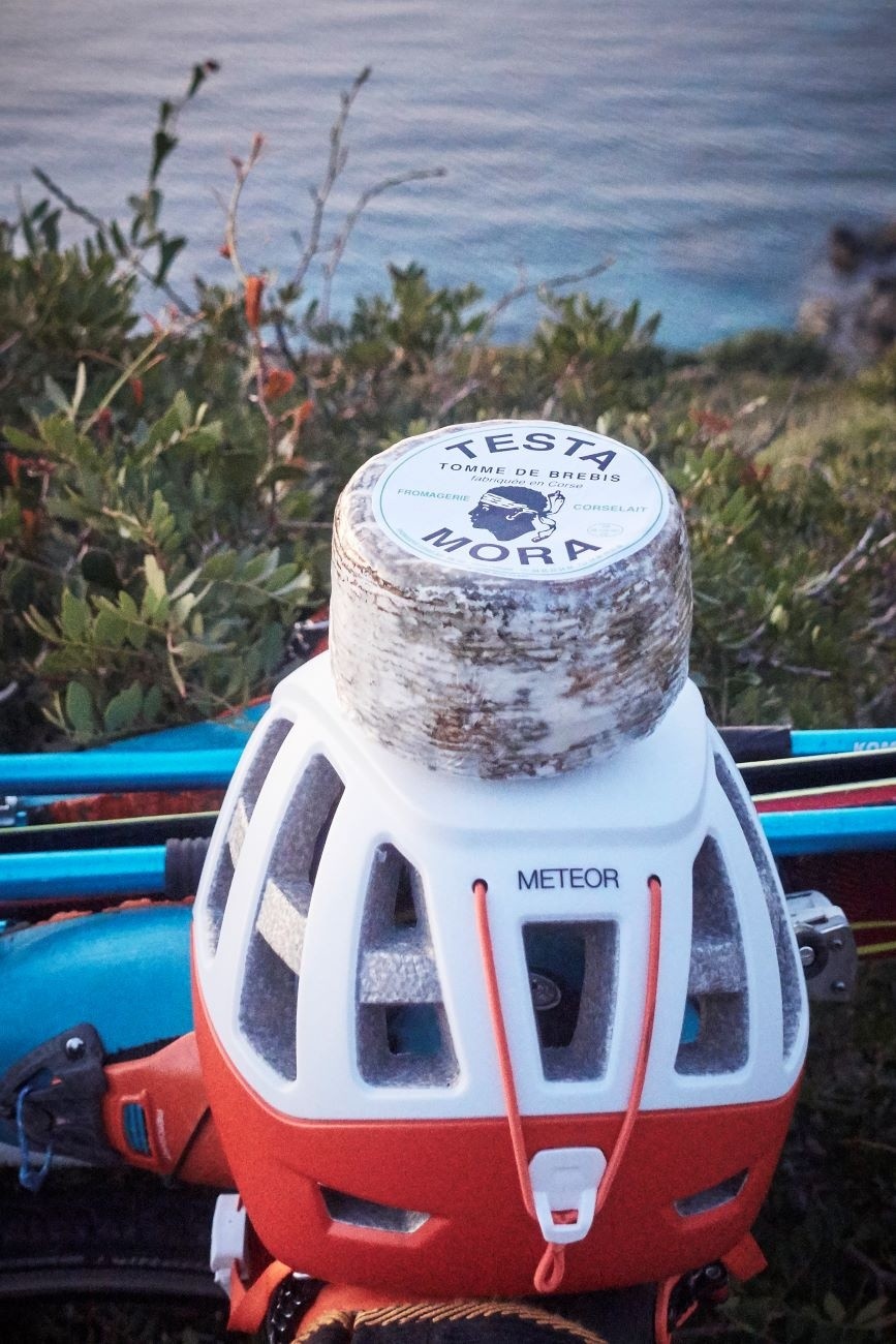 La Corse et sa Tête de Maure