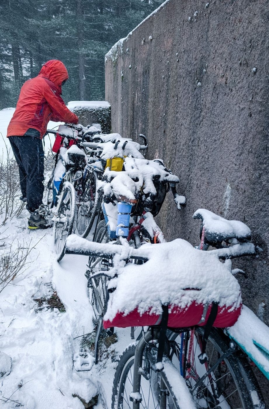 Surprise. Petite livraison de neige.&nbsp;Photo : Antho.