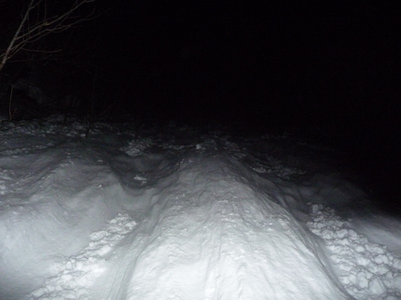 Sous-bois en sortie couloir : Fin des restes de la coulée, quelle galère!