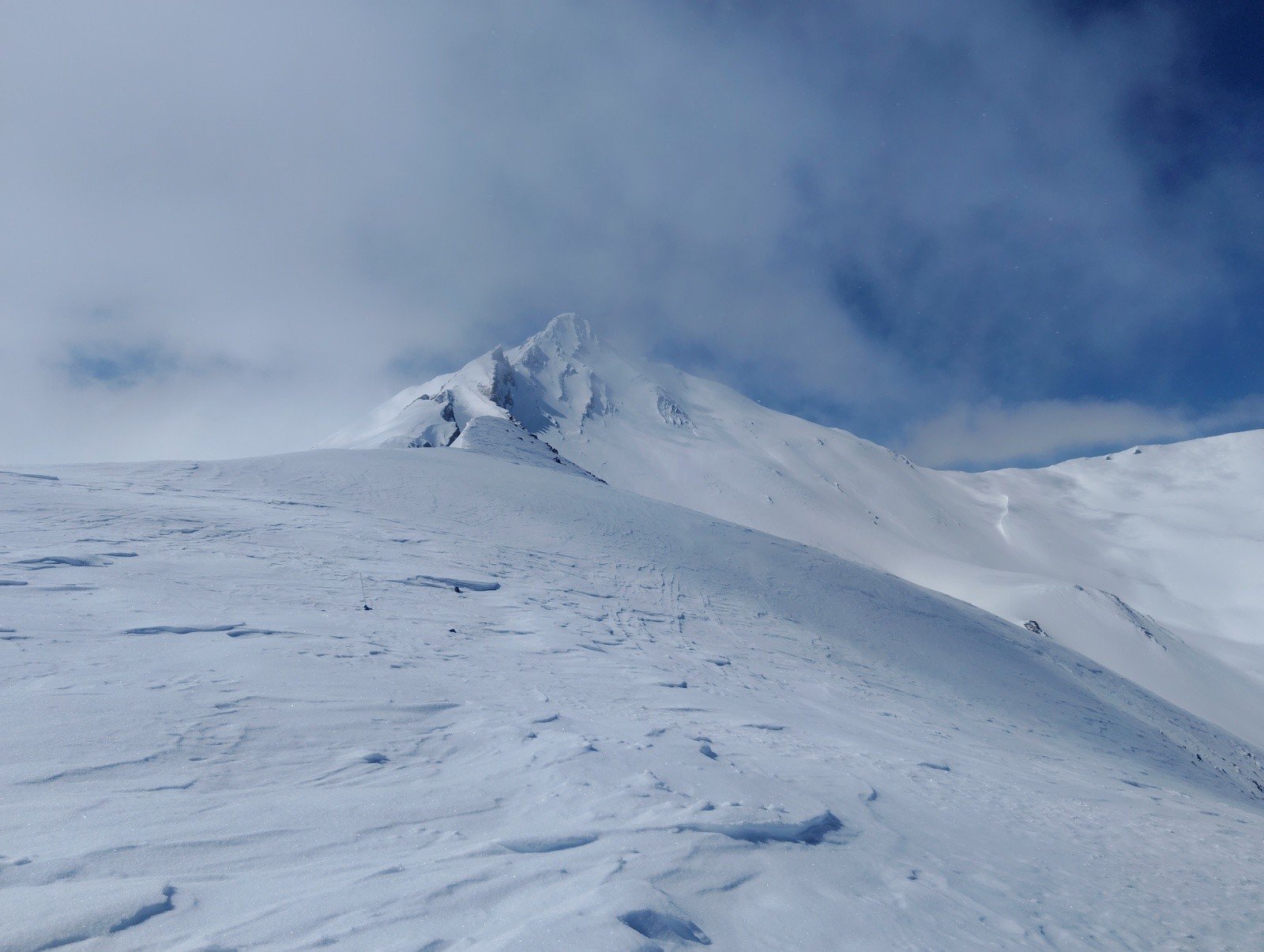 &nbsp;Grande chible&nbsp;