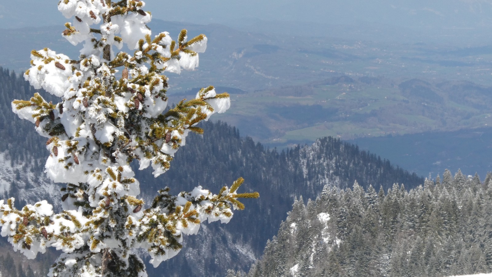 #16 je domine les vertes campagnes je domine les vertes campagnes