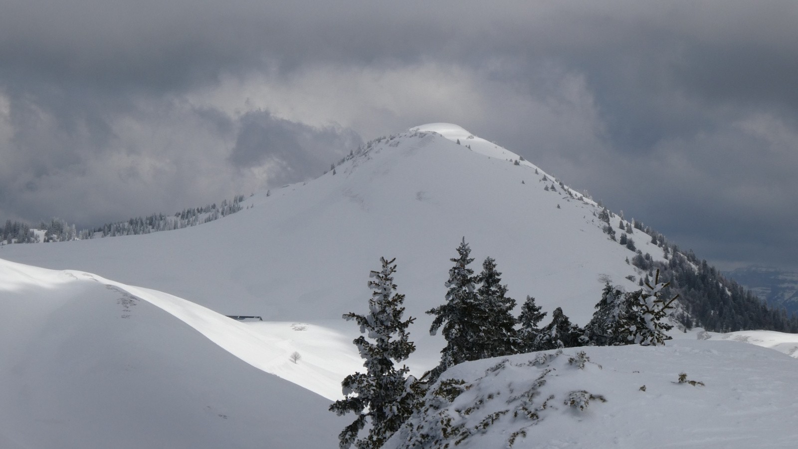 #15 en insistant un peu, il a fini par se dévoiler en insistant un peu, il a fini par se dévoiler