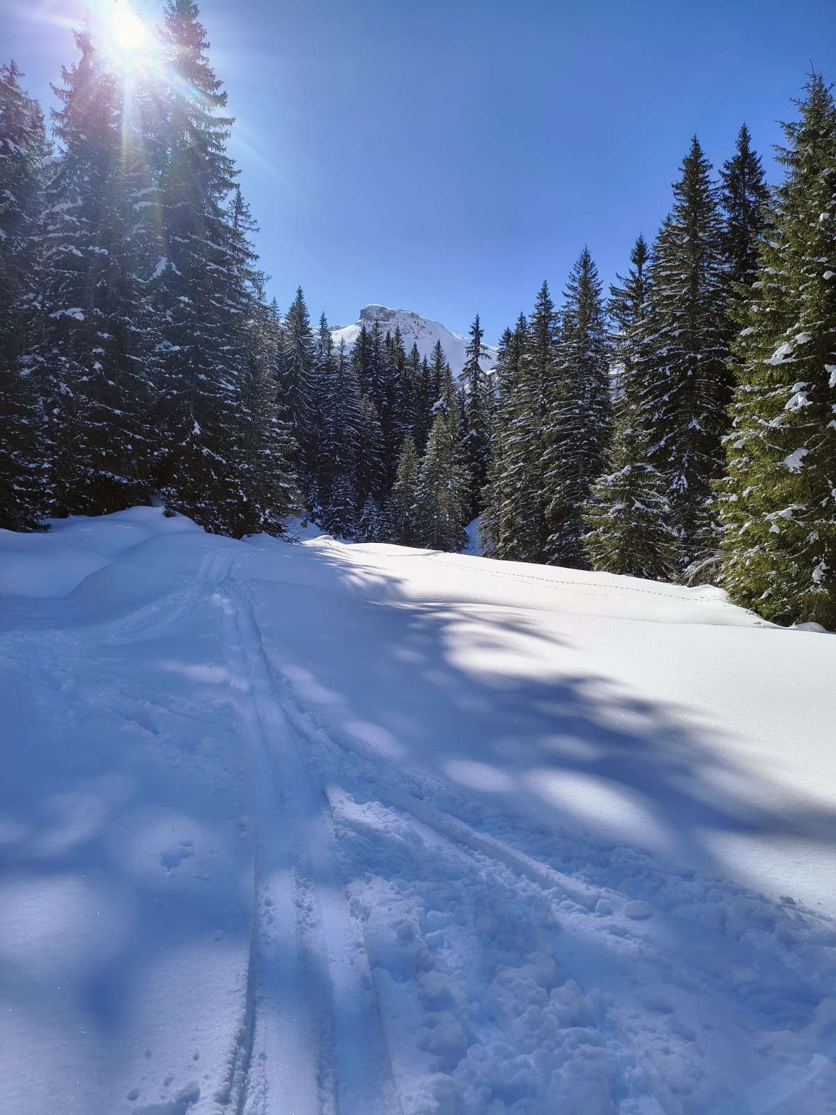 Hivernal à 1550 m !