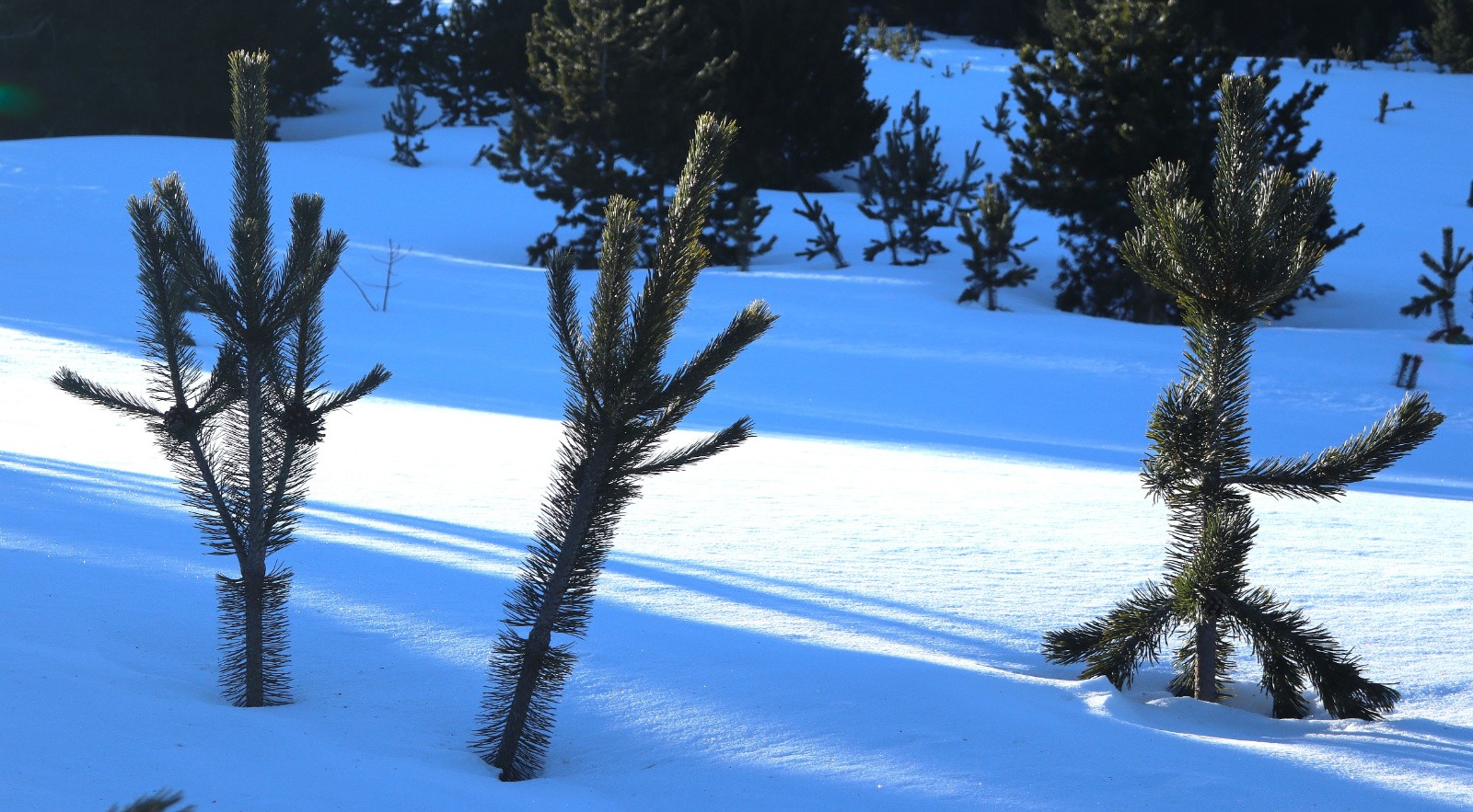 Chacun son style&nbsp;