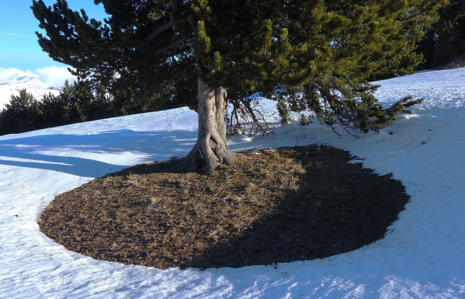 Aire de pic-nique&nbsp;