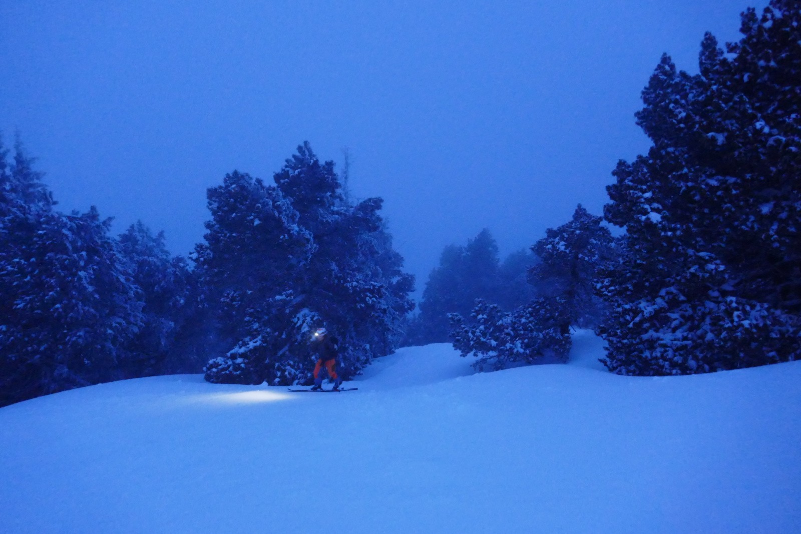 Sortie dans la prairie sommitale