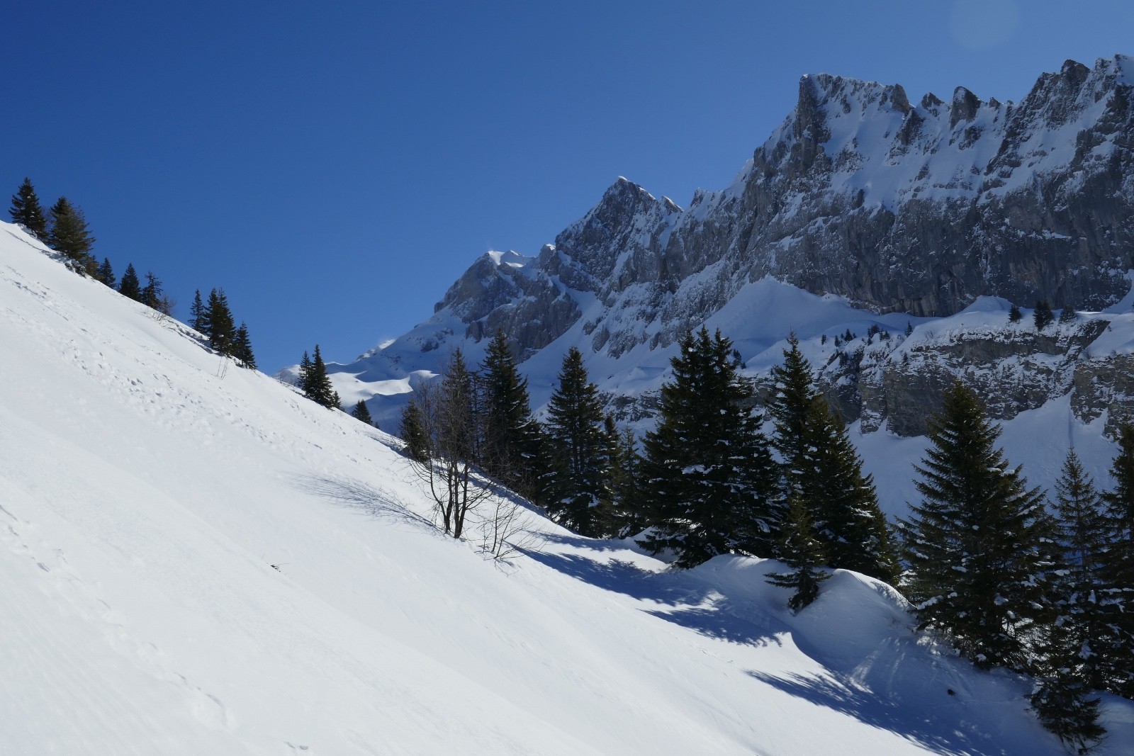 Corne au Taureau, Dent Blanche