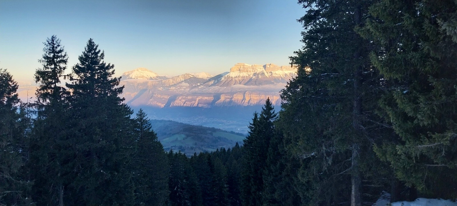 Chartreuse colorée&nbsp;&nbsp;