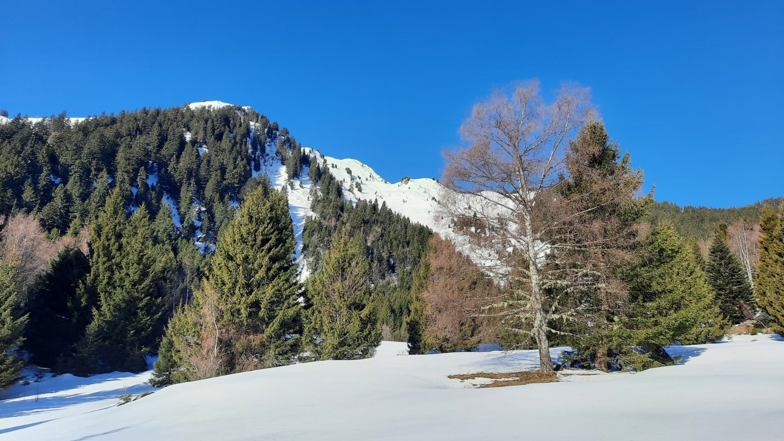 vert blanc bleu, les vraies couleurs de la Savoie&nbsp;
