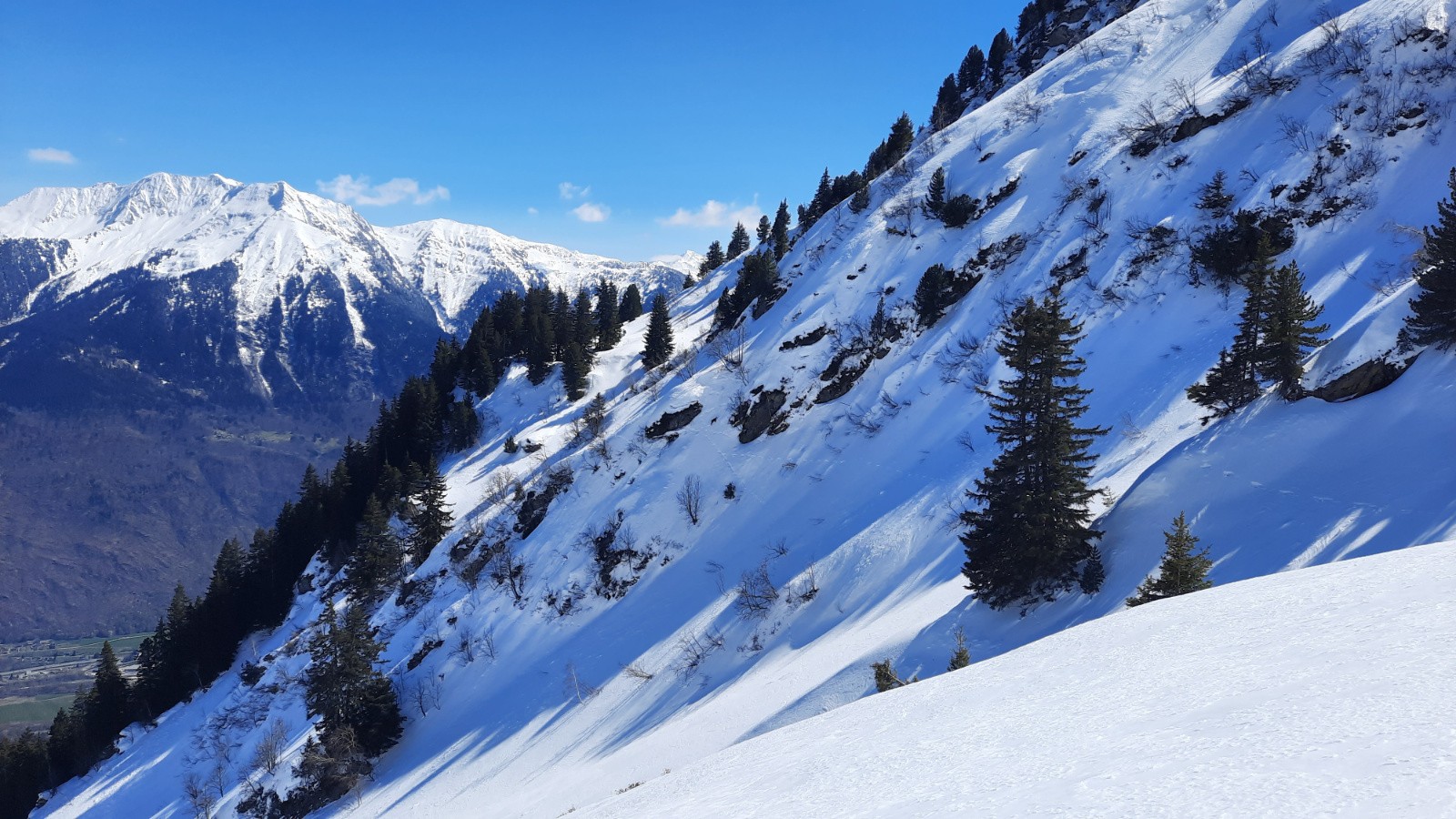Dérangé un chamois&nbsp;