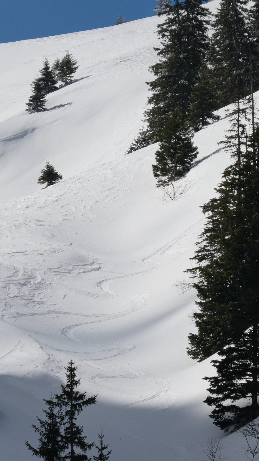 descente de la Crête de Mauvernay&nbsp;