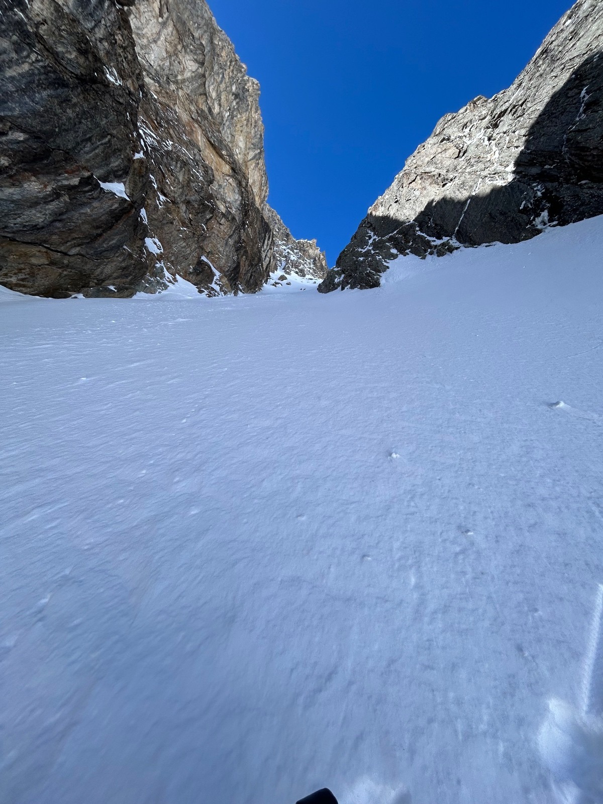 Début de la brasse coulée&nbsp;