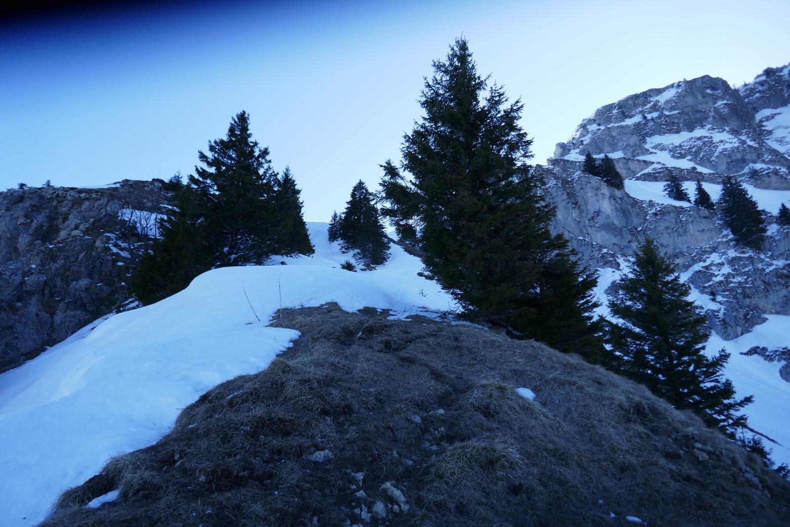 En montant au col de Chavanais