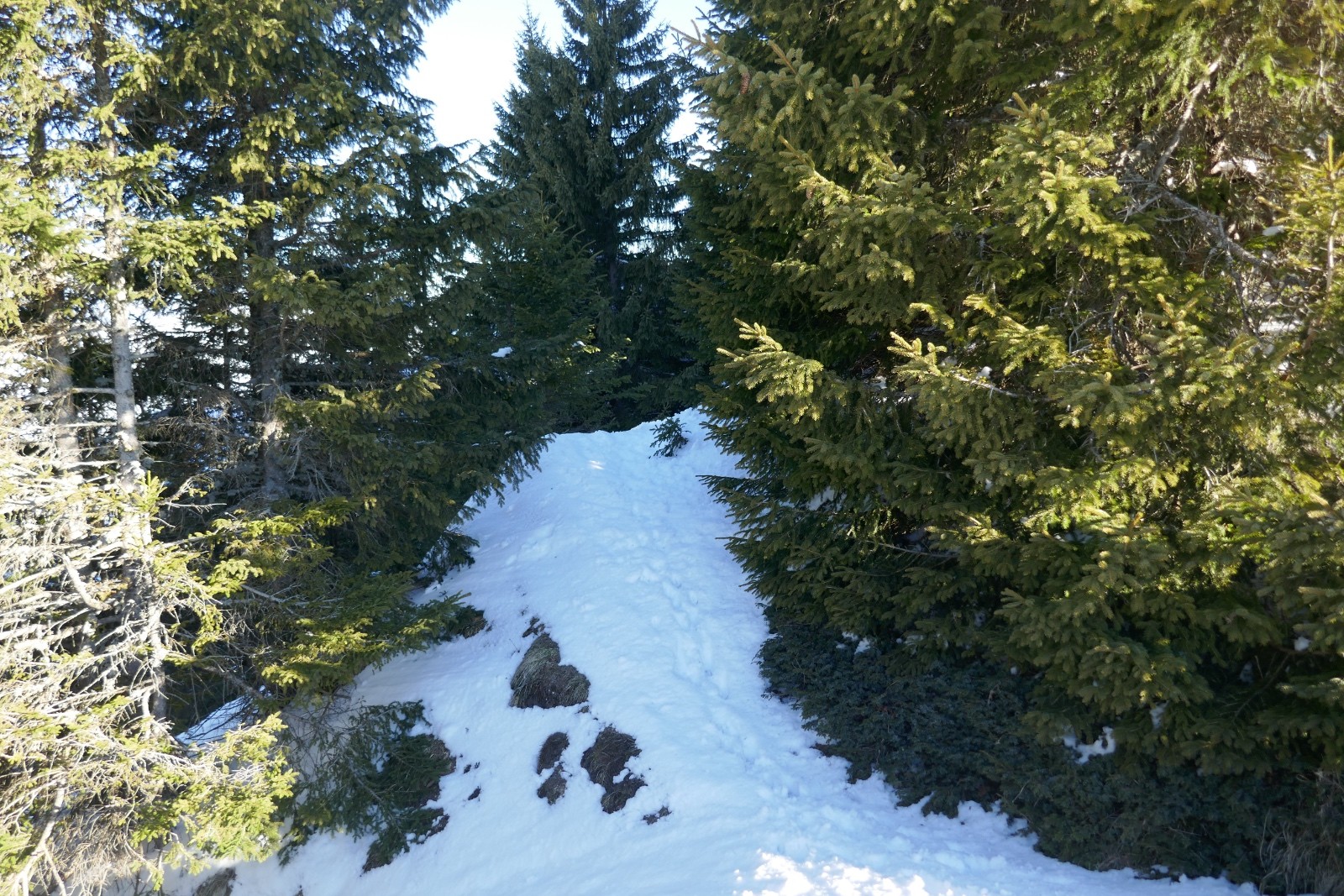 La suite côté nord du col de Cordon
