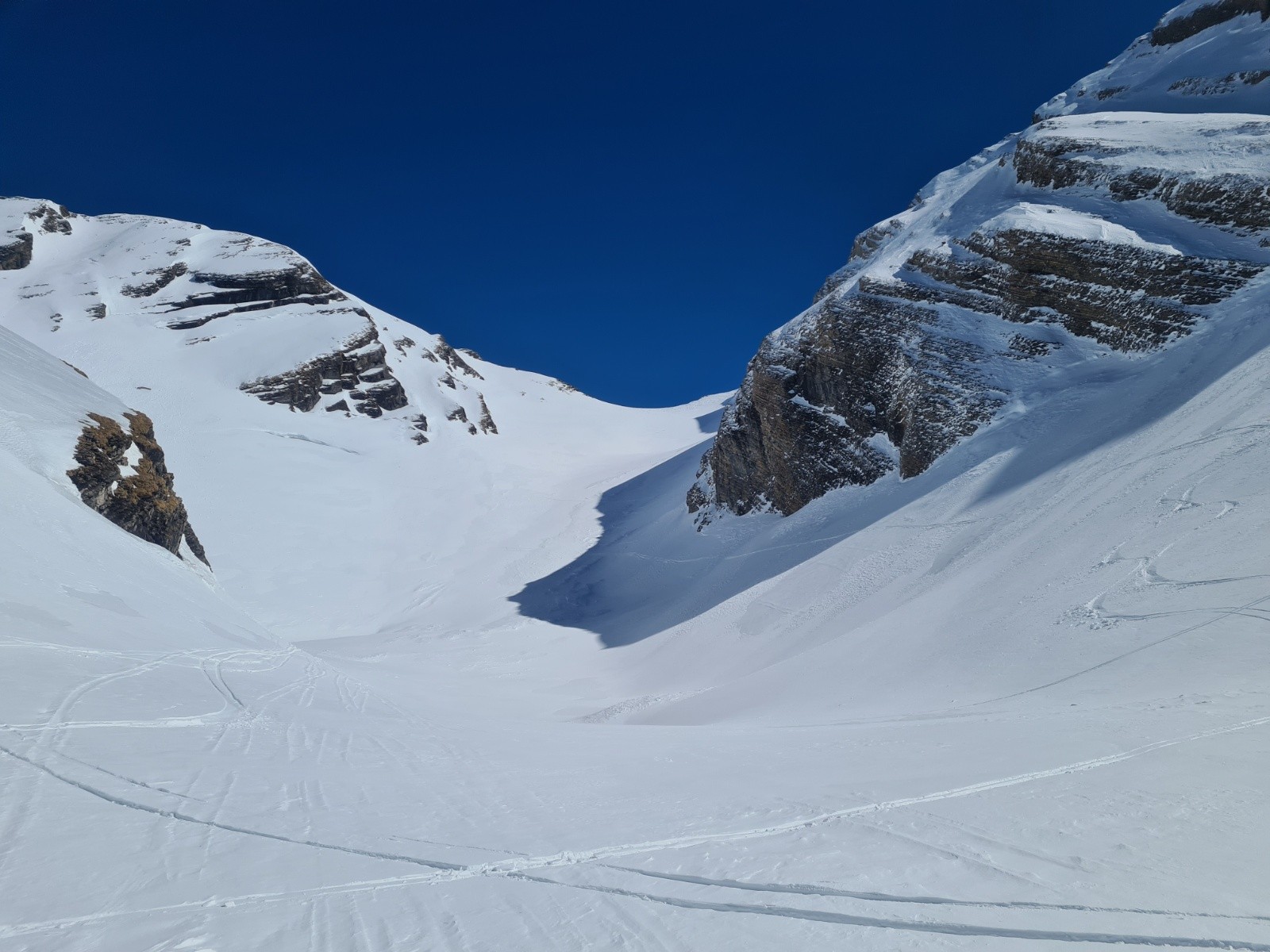 &nbsp;Bella Cha Sauvage