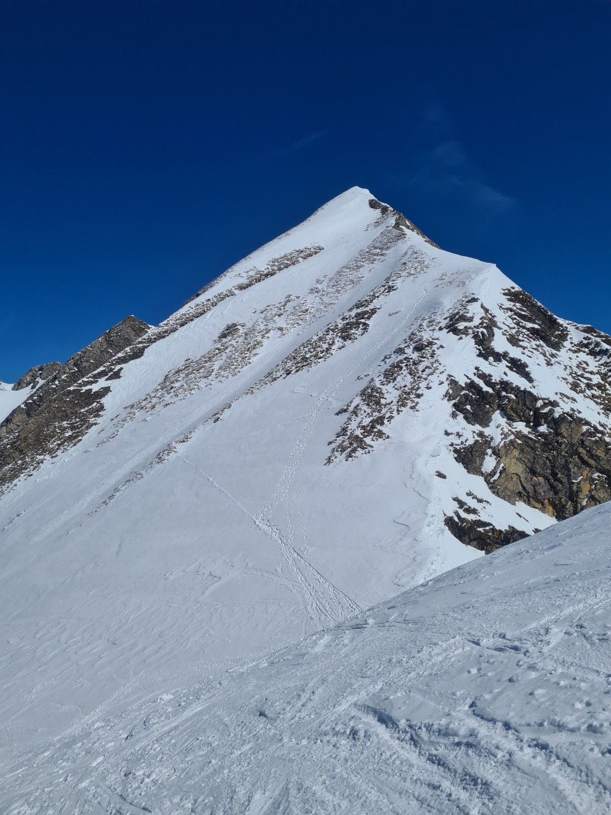 &nbsp;Tête de Paccaly