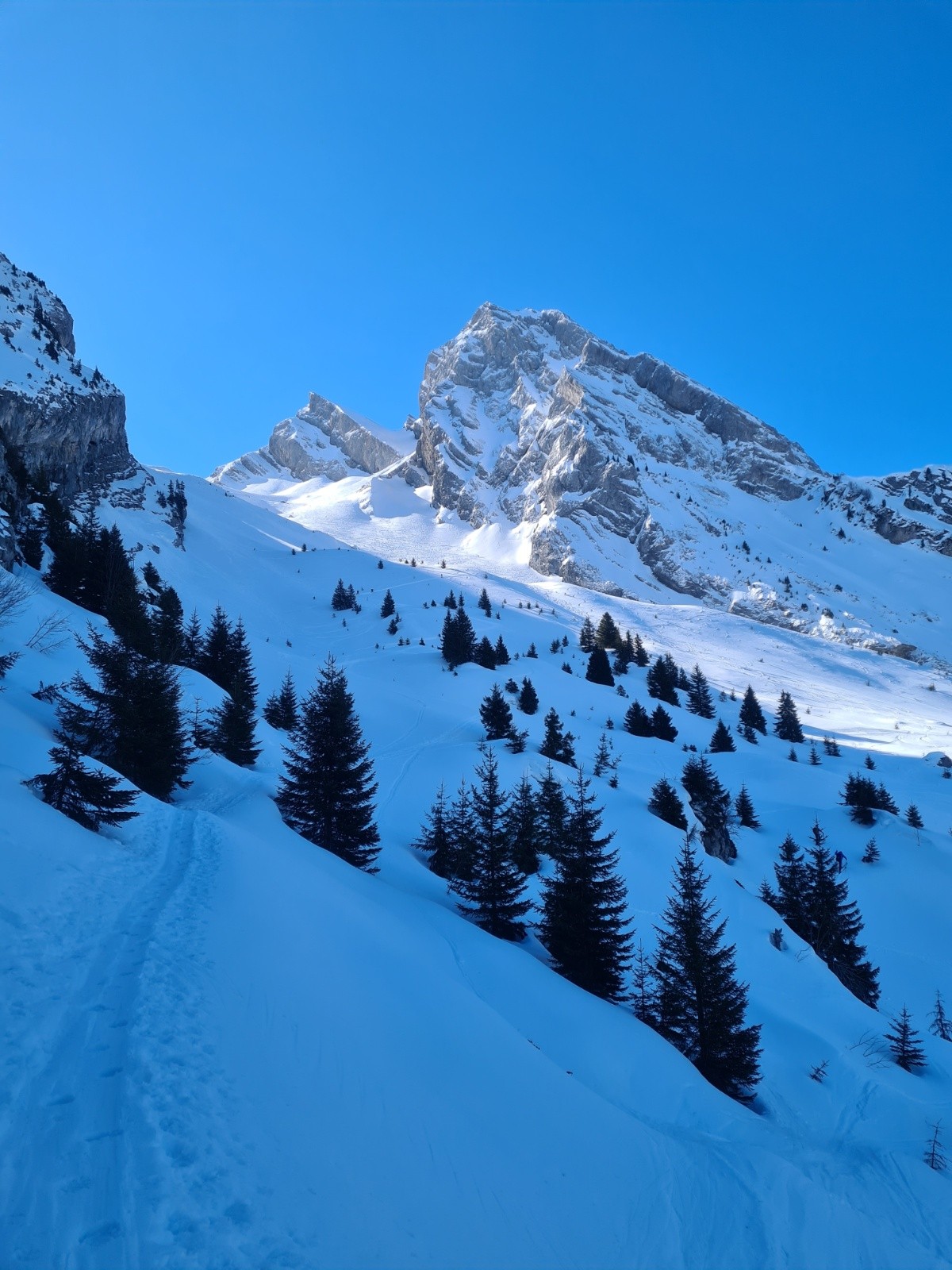 &nbsp;Chalets de Paccaly