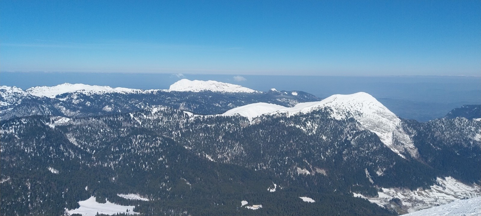 Charmant Som et grande Sure&nbsp;