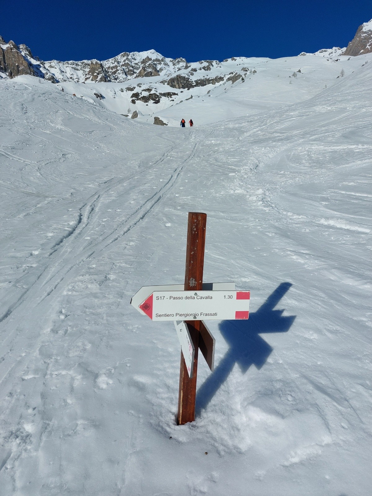 Nivose à grange pausa