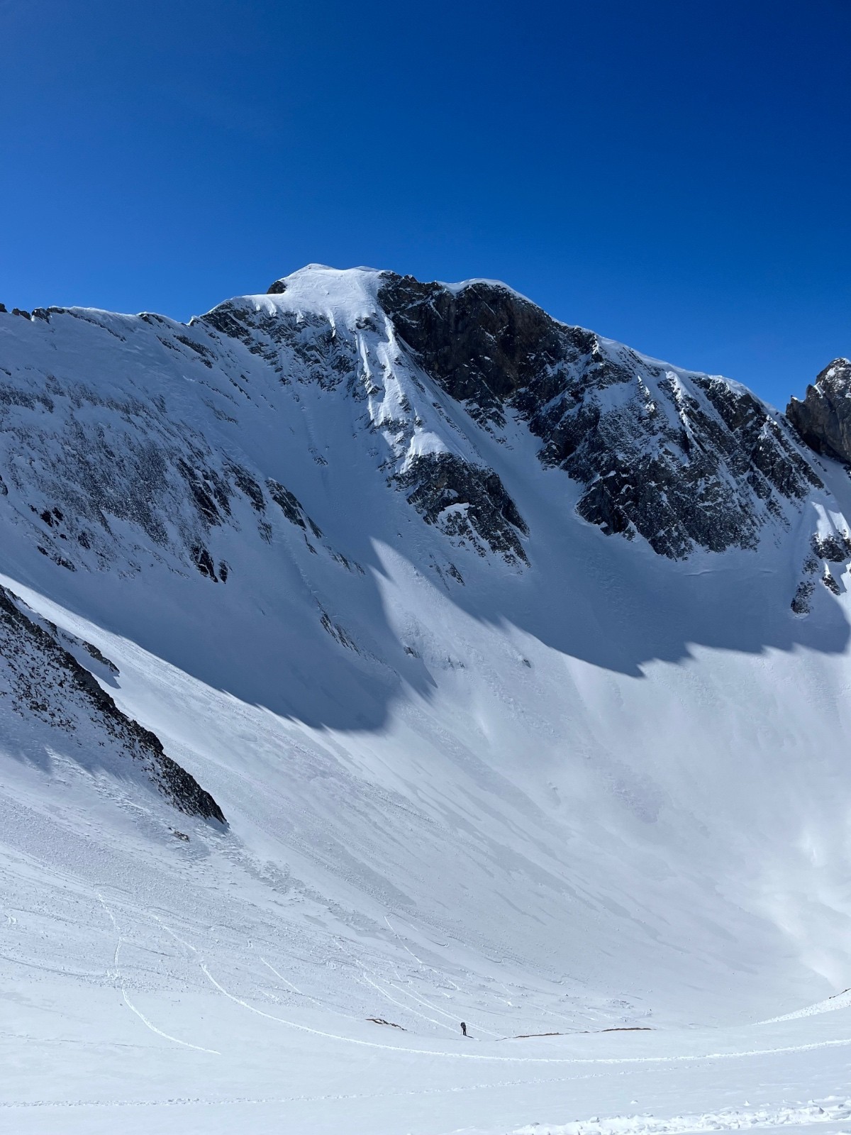 Le fleuri qui fait 236 fois Delph&nbsp;