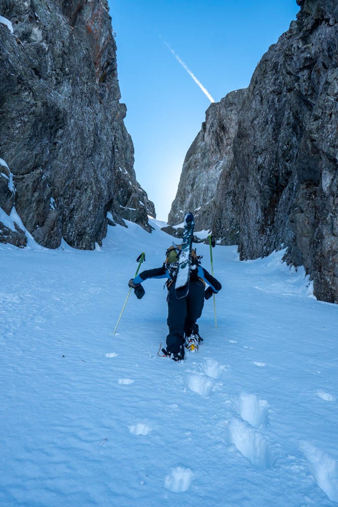 #37 Pédro à la trace Pédro à la trace